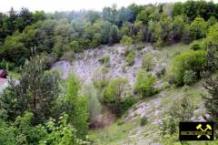 Tongrube Reichenschwand bei Lauf a.d. Pegnitz, Mittelfranken, Bayern, (D) (1) 14. Mai 2015.JPG